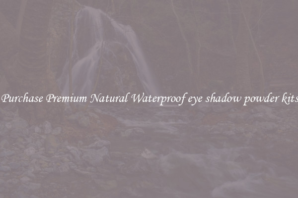 Purchase Premium Natural Waterproof eye shadow powder kits