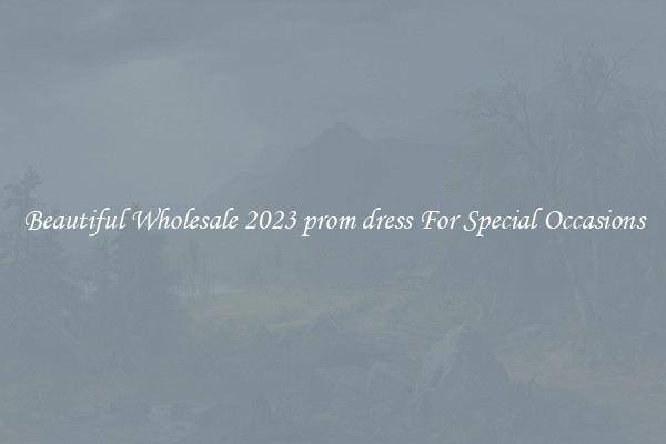 Beautiful Wholesale 2023 prom dress For Special Occasions
