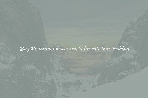 Buy Premium lobster creels for sale For Fishing