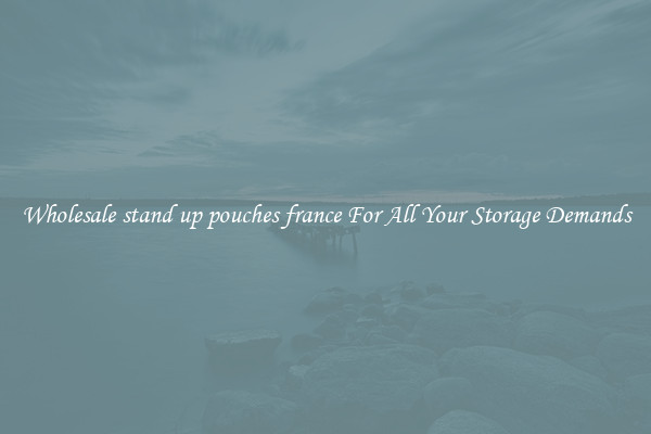 Wholesale stand up pouches france For All Your Storage Demands