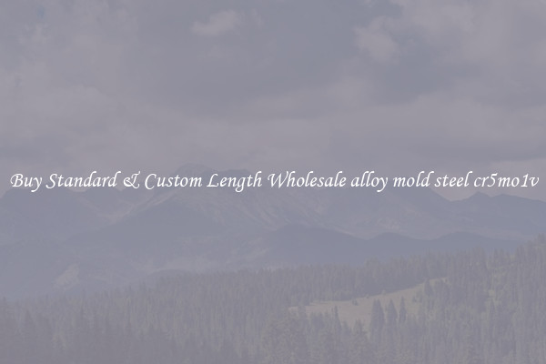 Buy Standard & Custom Length Wholesale alloy mold steel cr5mo1v