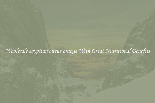 Wholesale egyptian citrus orange With Great Nutritional Benefits