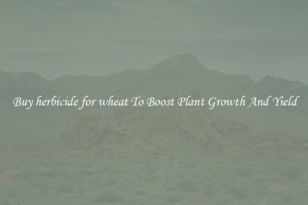 Buy herbicide for wheat To Boost Plant Growth And Yield