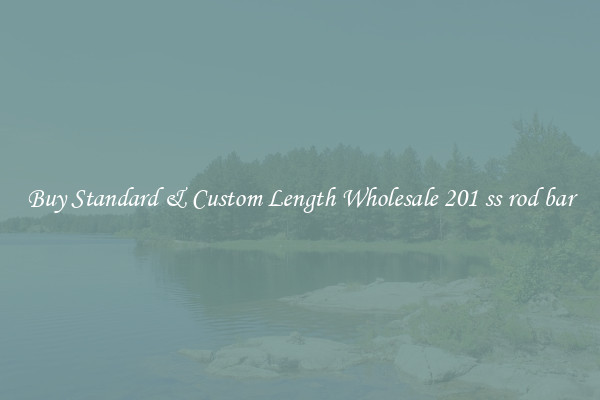Buy Standard & Custom Length Wholesale 201 ss rod bar