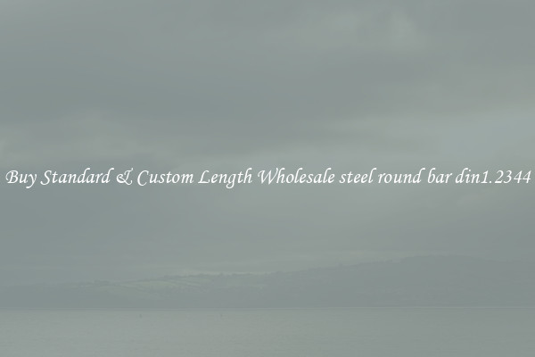 Buy Standard & Custom Length Wholesale steel round bar din1.2344