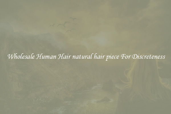 Wholesale Human Hair natural hair piece For Discreteness