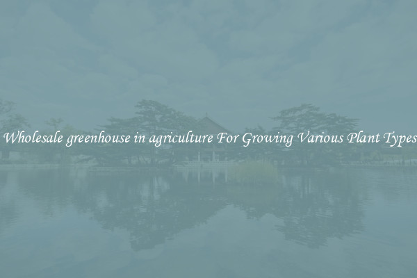 Wholesale greenhouse in agriculture For Growing Various Plant Types