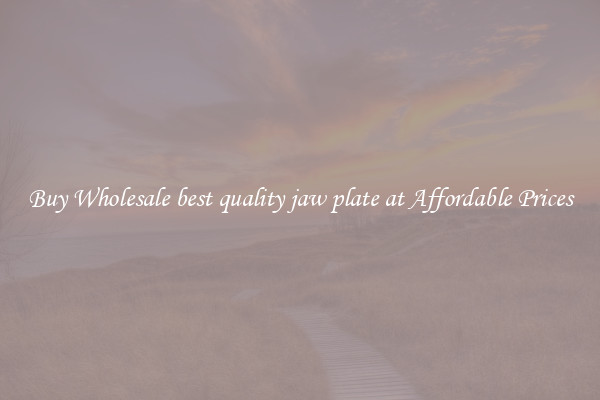 Buy Wholesale best quality jaw plate at Affordable Prices