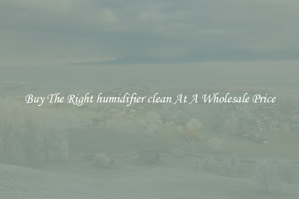 Buy The Right humidifier clean At A Wholesale Price