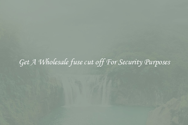 Get A Wholesale fuse cut off For Security Purposes