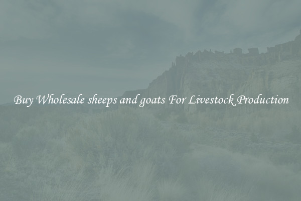 Buy Wholesale sheeps and goats For Livestock Production