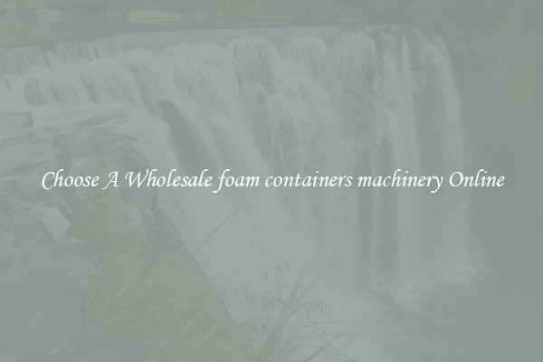 Choose A Wholesale foam containers machinery Online