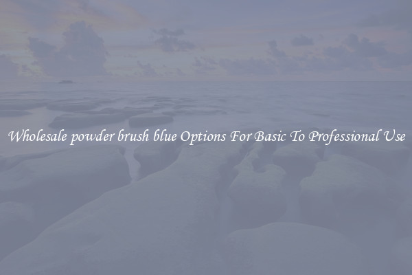 Wholesale powder brush blue Options For Basic To Professional Use