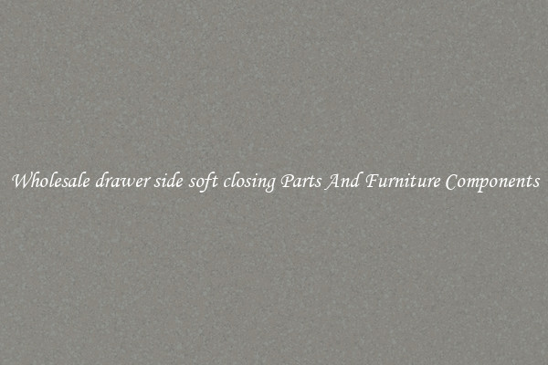 Wholesale drawer side soft closing Parts And Furniture Components