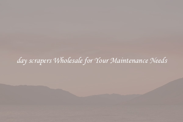 day scrapers Wholesale for Your Maintenance Needs