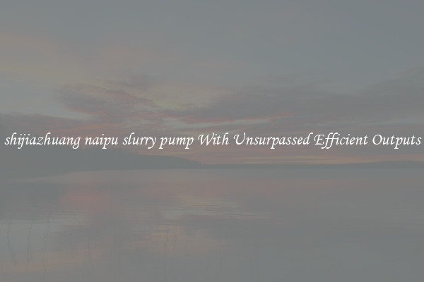 shijiazhuang naipu slurry pump With Unsurpassed Efficient Outputs