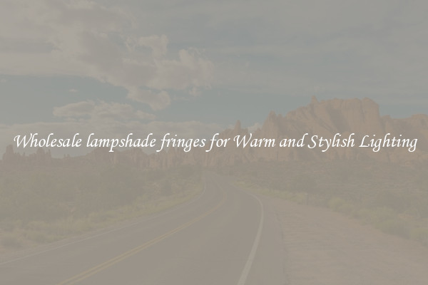 Wholesale lampshade fringes for Warm and Stylish Lighting