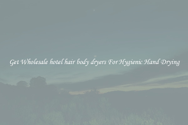 Get Wholesale hotel hair body dryers For Hygienic Hand Drying