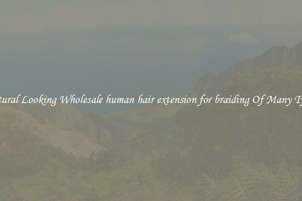 Natural Looking Wholesale human hair extension for braiding Of Many Types
