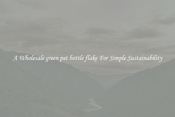  A Wholesale green pet bottle flake For Simple Sustainability 
