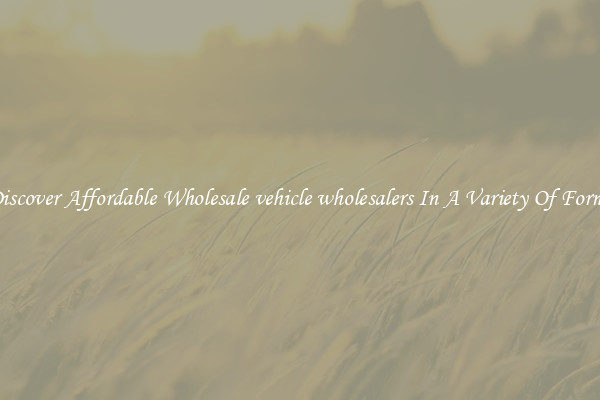 Discover Affordable Wholesale vehicle wholesalers In A Variety Of Forms