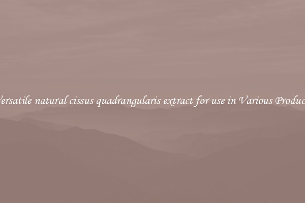 Versatile natural cissus quadrangularis extract for use in Various Products