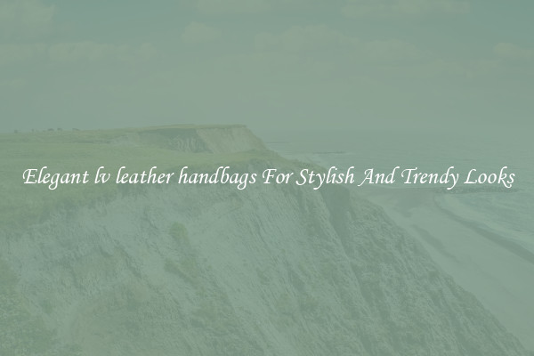 Elegant lv leather handbags For Stylish And Trendy Looks