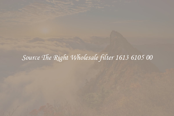 Source The Right Wholesale filter 1613 6105 00