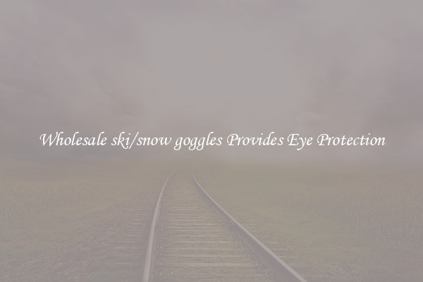 Wholesale ski/snow goggles Provides Eye Protection