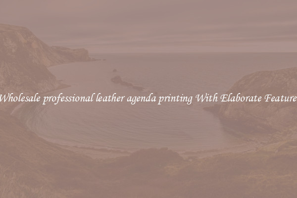 Wholesale professional leather agenda printing With Elaborate Features